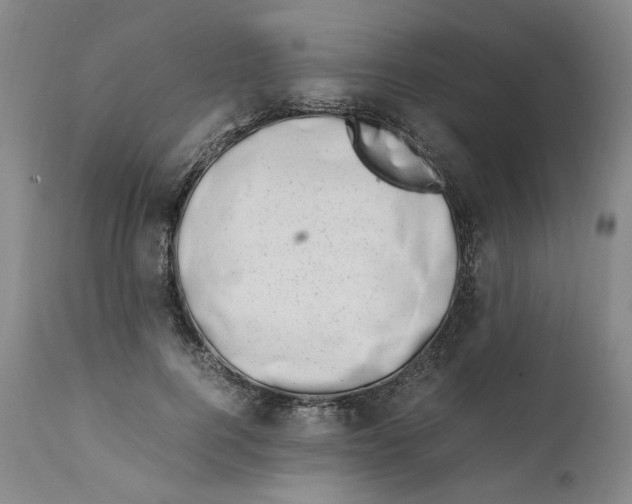 X0000111660744200908071433