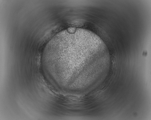 X0000111660745200908071433