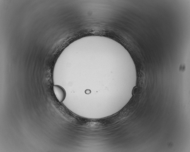 X0000111660748200908071433