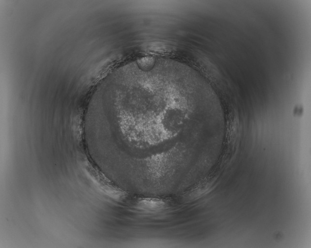 X0000111660749200908071433