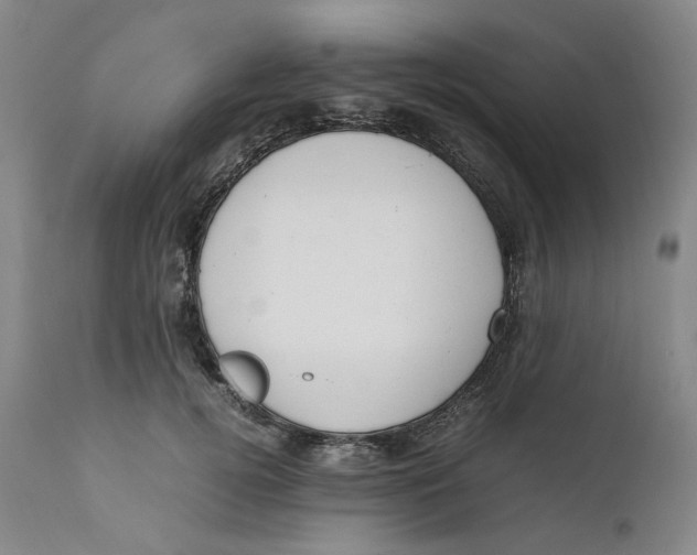 X0000111660752200908071433