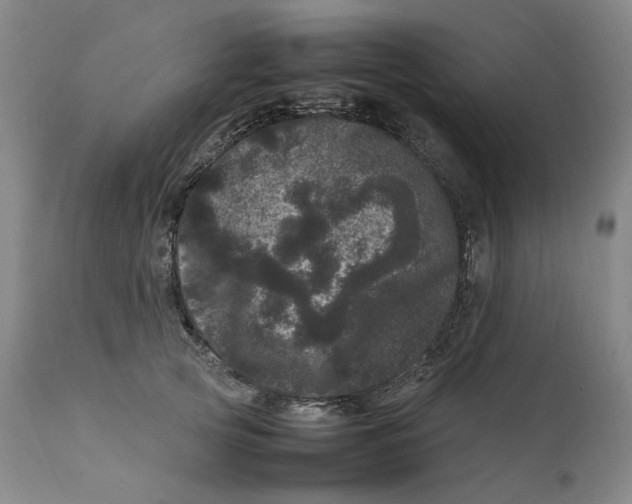 X0000111660753200908071433