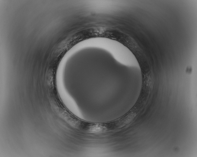 X0000111660754200908071433