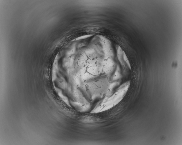 X0000111660755200908071433