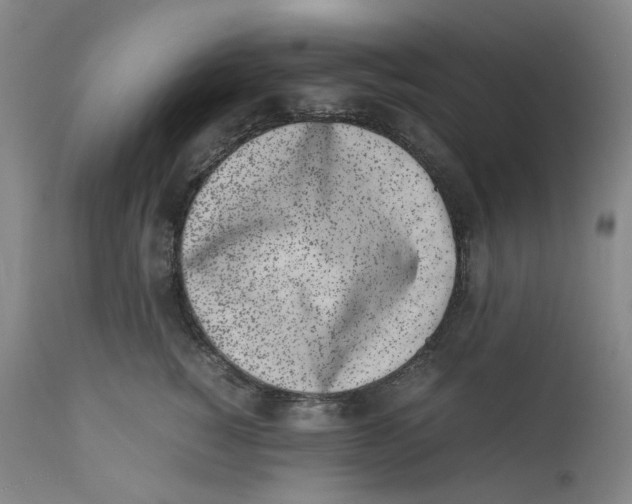 X0000111660760200908071433