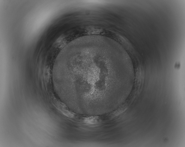 X0000111660761200908071433