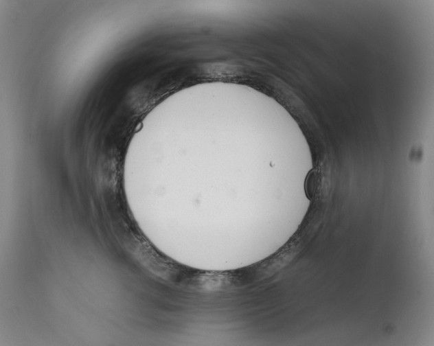 X0000111660762200908071433