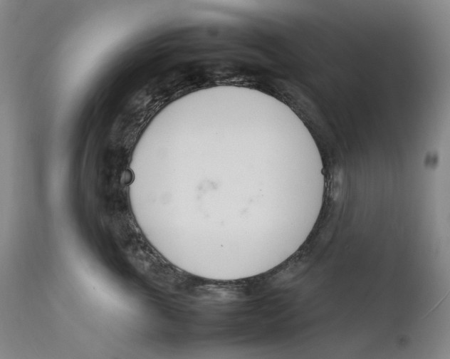 X0000111660763200908071433