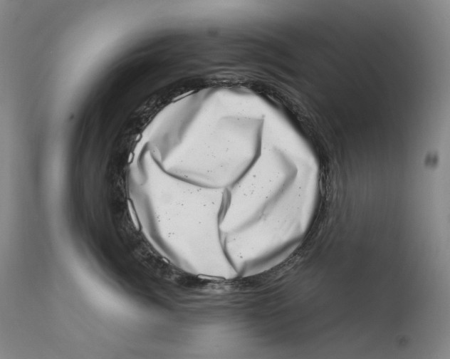 X0000111660764200908071433