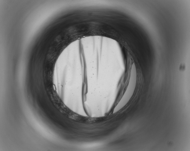 X0000111660765200908071433