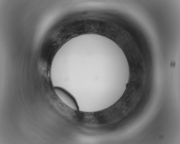 X0000111660766200908071433