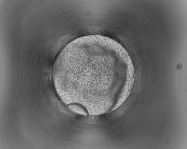 X0000111660768200908071433