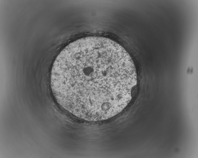 X0000111660769200908071432