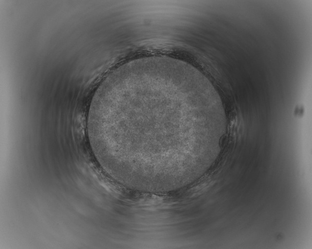 X0000111660772200908071432