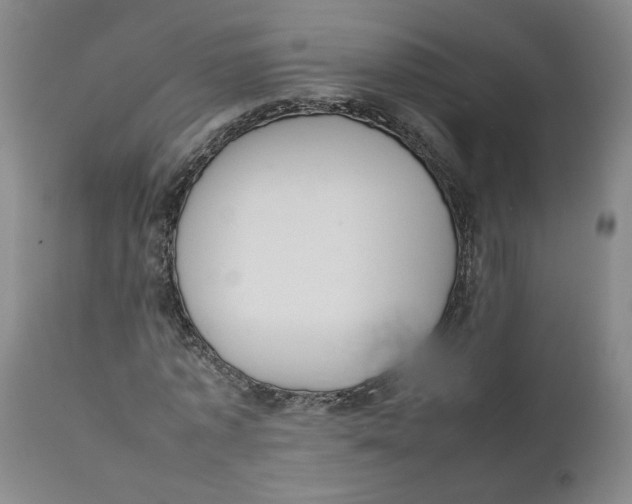 X0000111660773200908071432