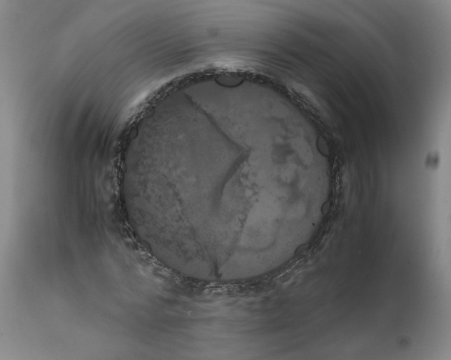 X0000111660776200908071432