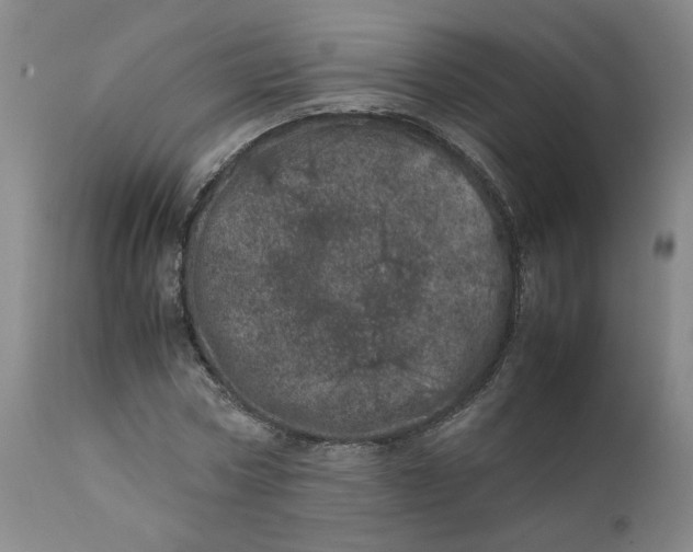 X0000111660778200908071432