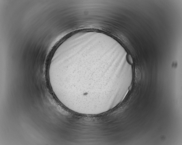 X0000111660780200908071432