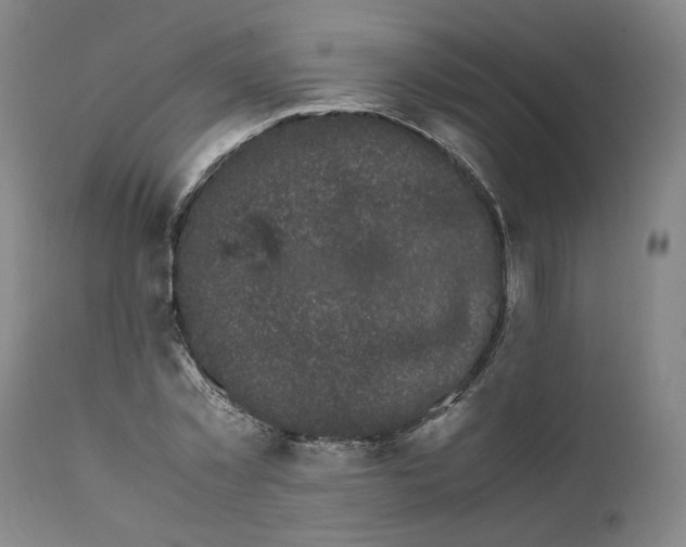 X0000111660781200908071432