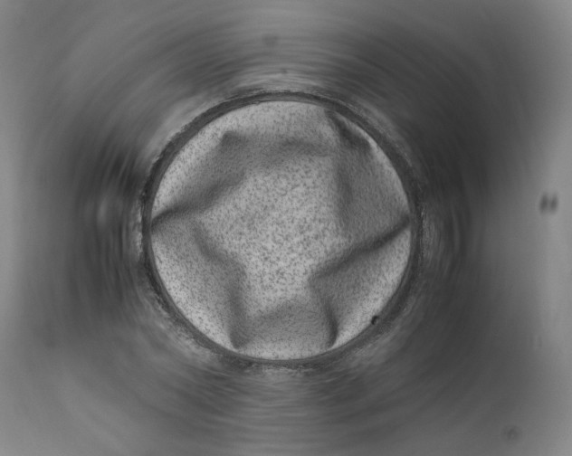 X0000111660782200908071432