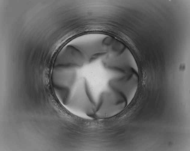 X0000111660786200908071432