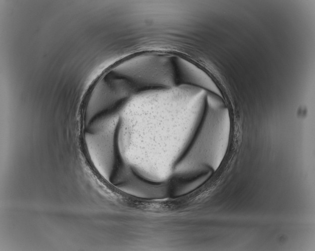 X0000111660787200908071432