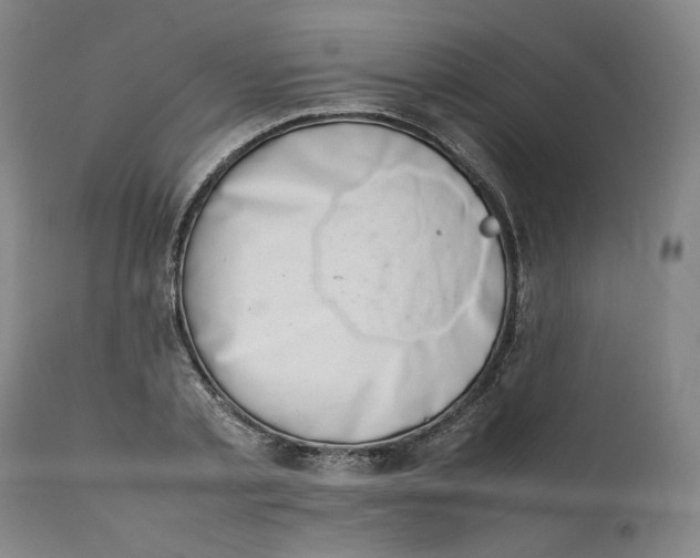 X0000111660789200908071432