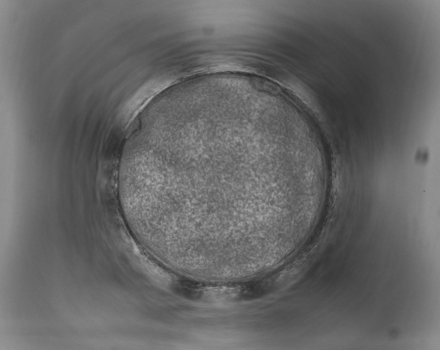 X0000111660793200908071432