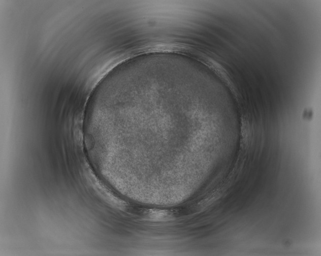 X0000111660794200908071432