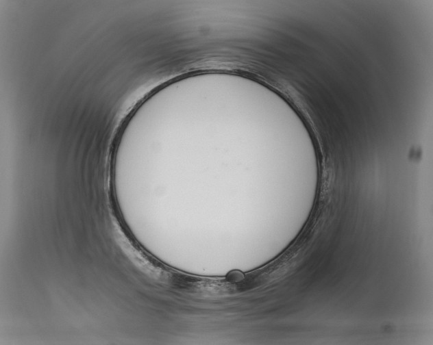 X0000111660795200908071432