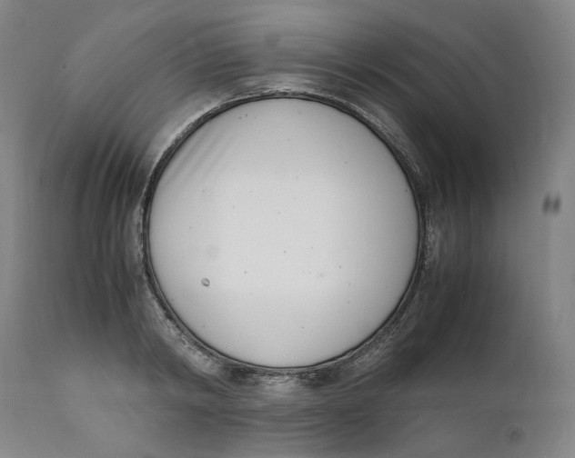 X0000111660798200908071432