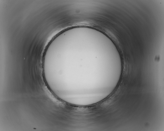 X0000111660800200908071432