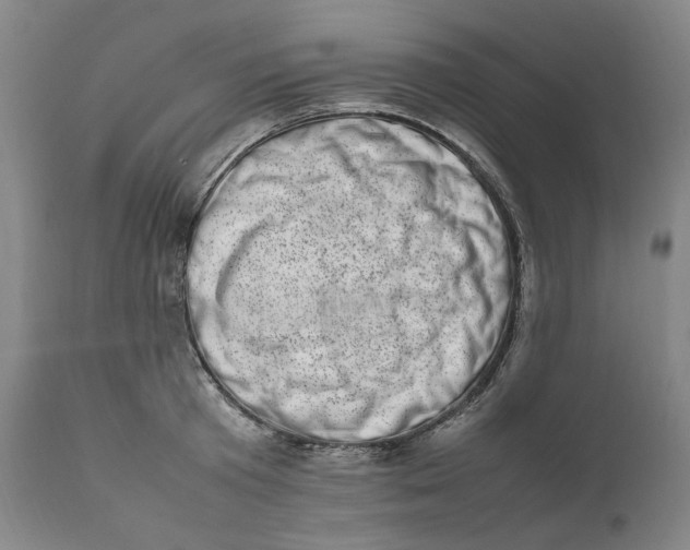 X0000111660801200908071432