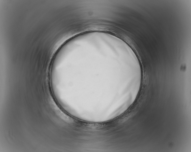 X0000111660803200908071432