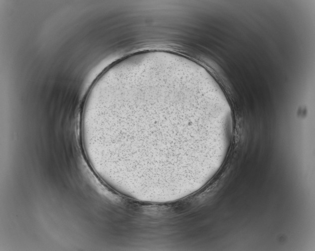 X0000111660804200908071431