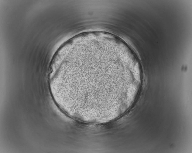 X0000111660805200908071431