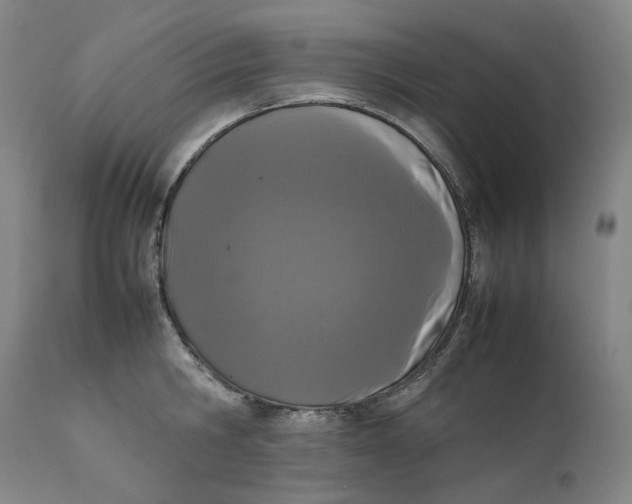 X0000111660806200908071431