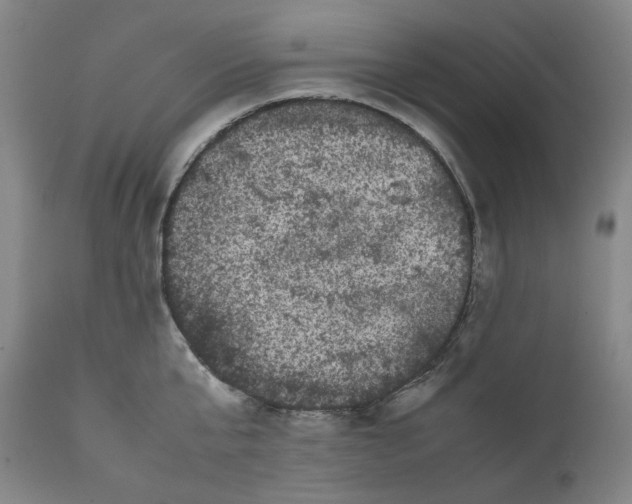 X0000111660807200908071431