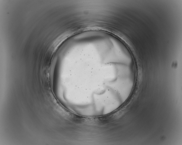 X0000111660809200908071431