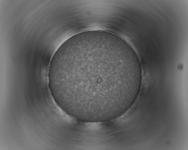 X0000111660810200908071431