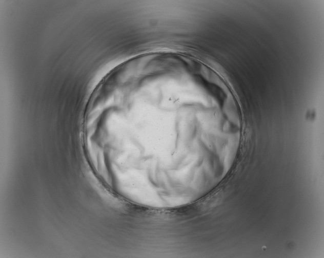 X0000111660811200908071431