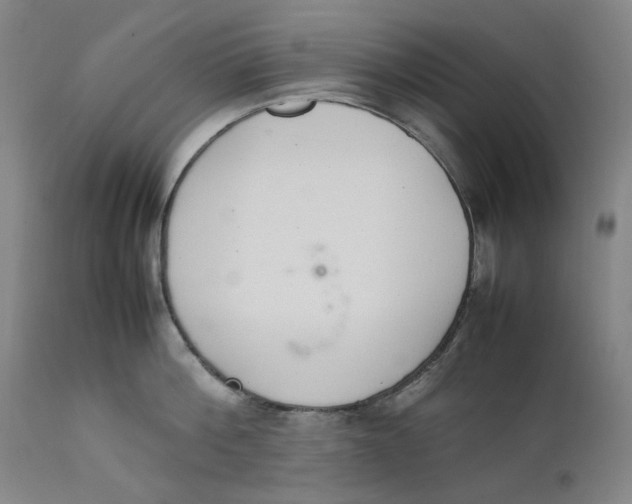 X0000111660812200908071431