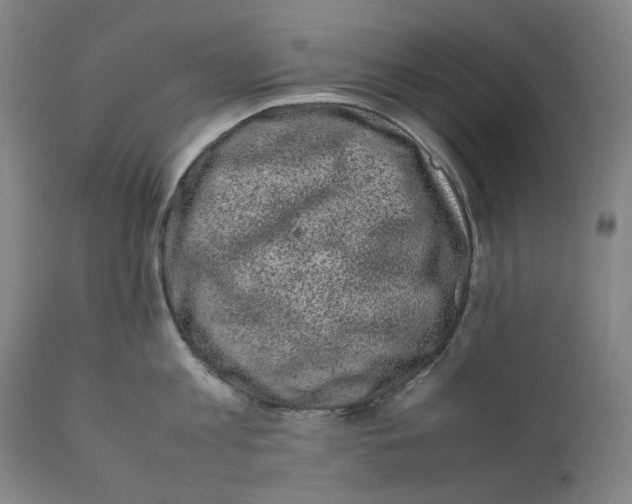 X0000111660813200908071431