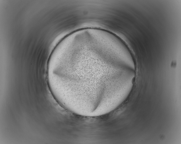 X0000111660815200908071431