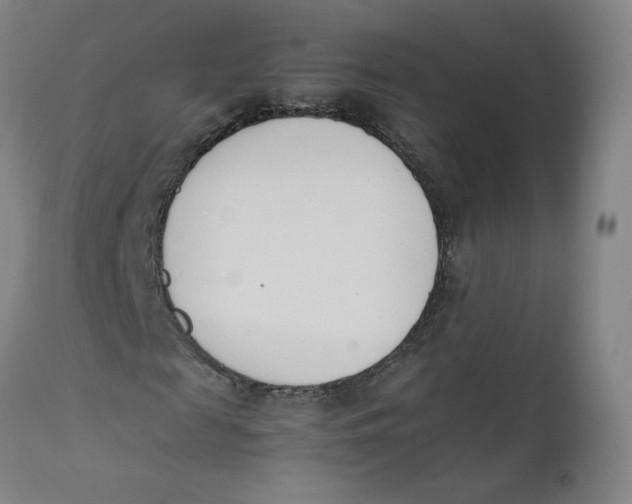 X0000111660817200908071431