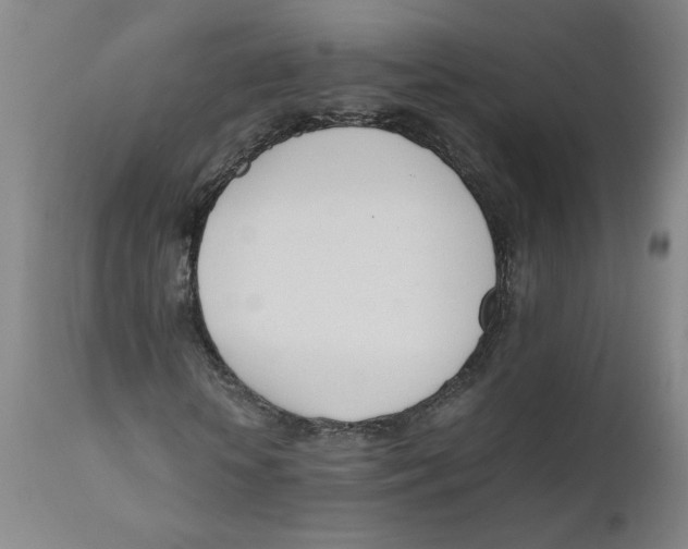 X0000111660818200908071431