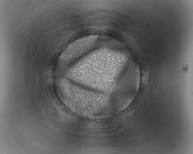 X0000111660819200908071431