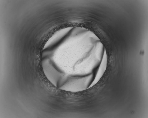 X0000111660821200908071431