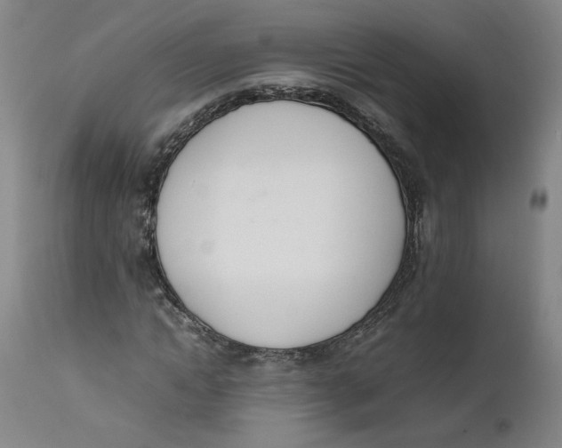 X0000111660822200908071431