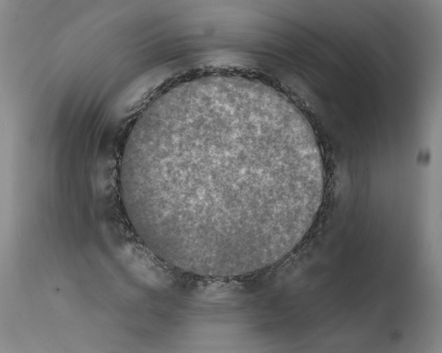 X0000111660824200908071431